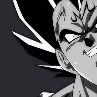Manga Vegeta wallpaper