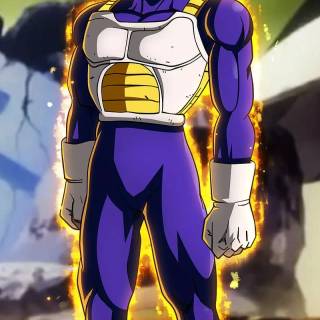 Manga Vegeta wallpaper