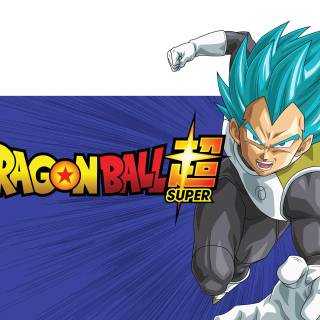 Manga Vegeta wallpaper