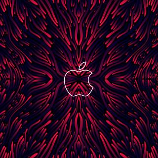 8k Macbook wallpaper