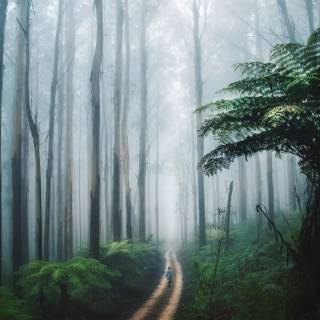 Nature travel wallpaper