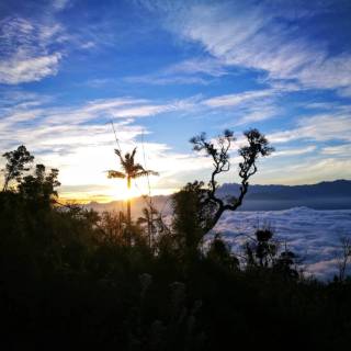 Nature travel wallpaper