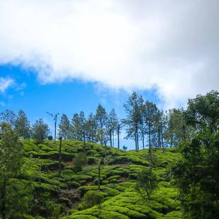 Nature travel wallpaper