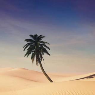 Desert anime wallpaper