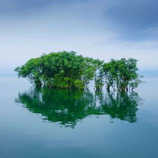 Bangladesh nature wallpaper