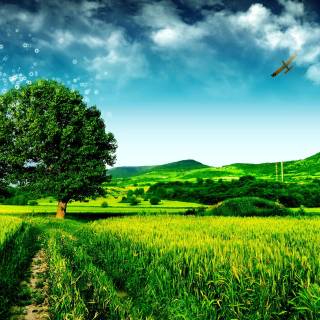 Bangladesh nature wallpaper