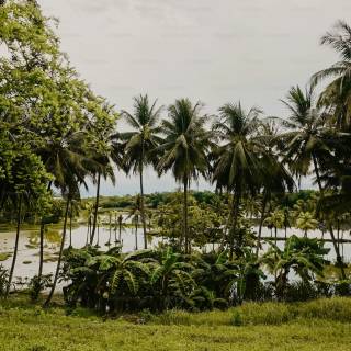 Bangladesh nature wallpaper