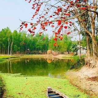 Bangladesh nature wallpaper