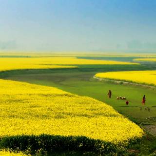 Bangladesh nature wallpaper