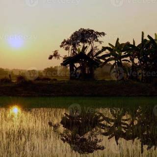 Bangladesh nature wallpaper