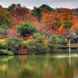 Bangladesh nature wallpaper