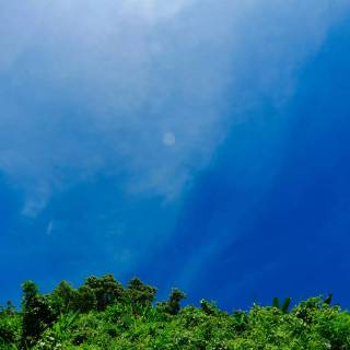 Bangladesh nature wallpaper