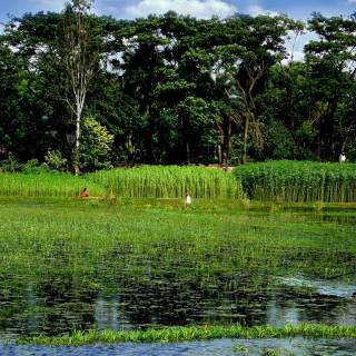 Bangladesh nature wallpaper