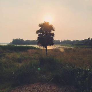 Bangladesh nature wallpaper