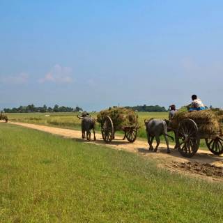 Bangladesh nature wallpaper