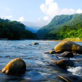 Bangladesh nature wallpaper