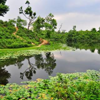 Bangladesh nature wallpaper