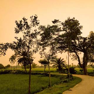 Bangladesh nature wallpaper