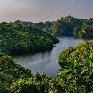 Bangladesh nature wallpaper