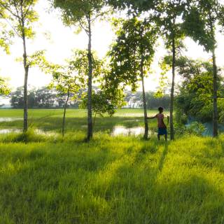 Bangladesh nature wallpaper