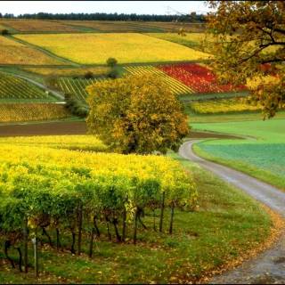 Bangladesh nature wallpaper