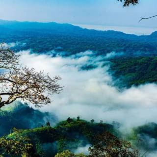 Bangladesh nature wallpaper