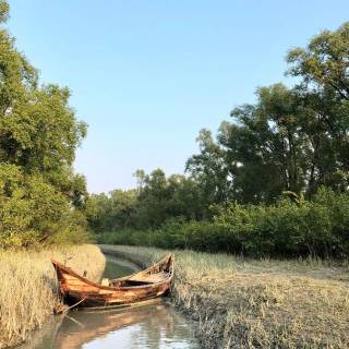 Bangladesh nature wallpaper