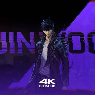 Sung Jinwoo PC wallpaper