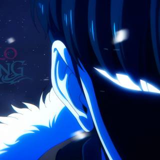 Sung Jinwoo PC wallpaper