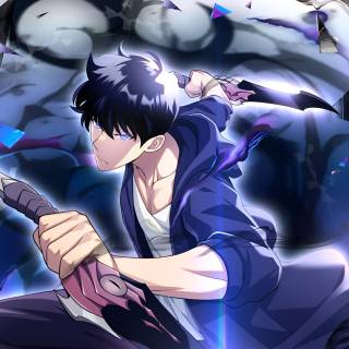 Sung Jinwoo PC wallpaper