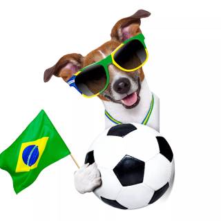 Dog soccer wallpaper