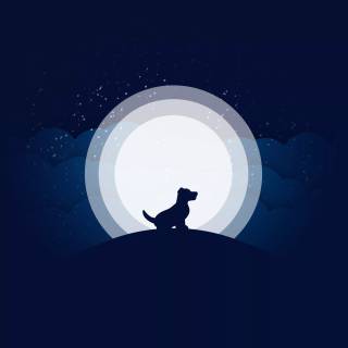 Minimal dog wallpaper