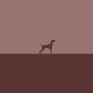 Minimal dog wallpaper