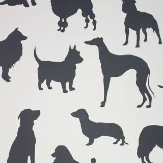 Minimal dog wallpaper