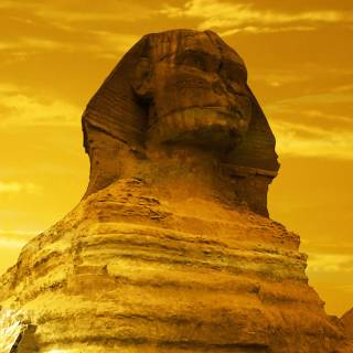 Alpha Phi Alpha wallpaper