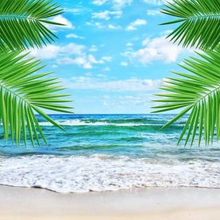 Beach cute wallpaper