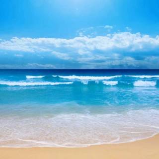 Beach cute wallpaper