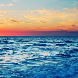 Beach cute wallpaper