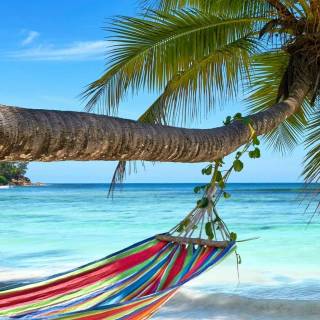 Beach cute wallpaper