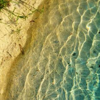 Beach cute wallpaper