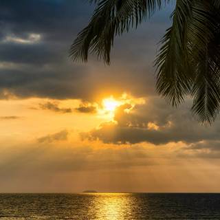 Beach cute wallpaper