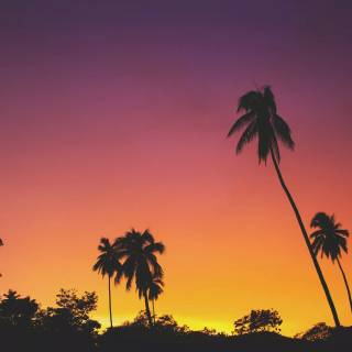 Simple sunset wallpaper