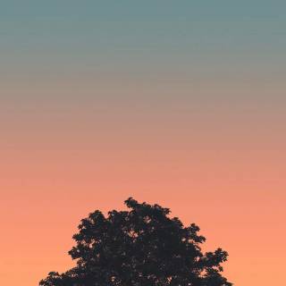 Simple sunset wallpaper
