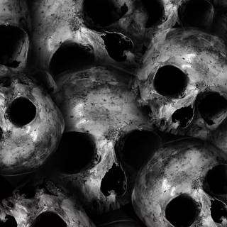 Intimidating wallpaper