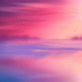 Pink sky desktop wallpaper