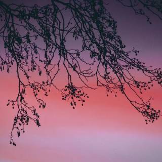 Pink sky desktop wallpaper