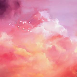 Pink sky desktop wallpaper