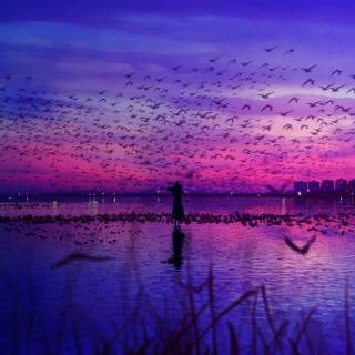 Pink sky desktop wallpaper