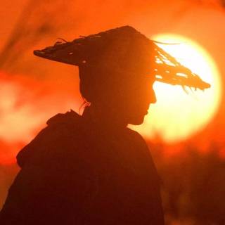 Samurai sunset wallpaper