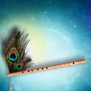 Krishna peacock feather wallpaper